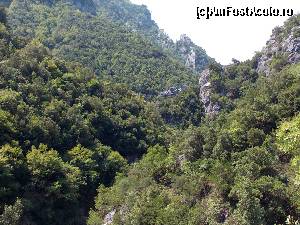 [P19] Olimp. Fara comentarii.  » foto by ovidiuyepi
 - 
<span class="allrVoted glyphicon glyphicon-heart hidden" id="av549218"></span>
<a class="m-l-10 hidden" id="sv549218" onclick="voting_Foto_DelVot(,549218,17499)" role="button">șterge vot <span class="glyphicon glyphicon-remove"></span></a>
<a id="v9549218" class=" c-red"  onclick="voting_Foto_SetVot(549218)" role="button"><span class="glyphicon glyphicon-heart-empty"></span> <b>LIKE</b> = Votează poza</a> <img class="hidden"  id="f549218W9" src="/imagini/loader.gif" border="0" /><span class="AjErrMes hidden" id="e549218ErM"></span>