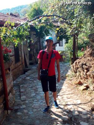 [P08] Paleos Pantelimonas. Sunt in alta lume!  » foto by ovidiuyepi
 - 
<span class="allrVoted glyphicon glyphicon-heart hidden" id="av549205"></span>
<a class="m-l-10 hidden" id="sv549205" onclick="voting_Foto_DelVot(,549205,17499)" role="button">șterge vot <span class="glyphicon glyphicon-remove"></span></a>
<a id="v9549205" class=" c-red"  onclick="voting_Foto_SetVot(549205)" role="button"><span class="glyphicon glyphicon-heart-empty"></span> <b>LIKE</b> = Votează poza</a> <img class="hidden"  id="f549205W9" src="/imagini/loader.gif" border="0" /><span class="AjErrMes hidden" id="e549205ErM"></span>