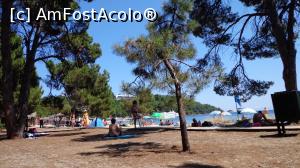 [P14] Caldura mare! Am preferat sa stau sub pini!  » foto by eliana77
 - 
<span class="allrVoted glyphicon glyphicon-heart hidden" id="av733310"></span>
<a class="m-l-10 hidden" id="sv733310" onclick="voting_Foto_DelVot(,733310,17499)" role="button">șterge vot <span class="glyphicon glyphicon-remove"></span></a>
<a id="v9733310" class=" c-red"  onclick="voting_Foto_SetVot(733310)" role="button"><span class="glyphicon glyphicon-heart-empty"></span> <b>LIKE</b> = Votează poza</a> <img class="hidden"  id="f733310W9" src="/imagini/loader.gif" border="0" /><span class="AjErrMes hidden" id="e733310ErM"></span>