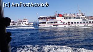 [P18] Batalia in toi!  » foto by eliana77
 - 
<span class="allrVoted glyphicon glyphicon-heart hidden" id="av733314"></span>
<a class="m-l-10 hidden" id="sv733314" onclick="voting_Foto_DelVot(,733314,17499)" role="button">șterge vot <span class="glyphicon glyphicon-remove"></span></a>
<a id="v9733314" class=" c-red"  onclick="voting_Foto_SetVot(733314)" role="button"><span class="glyphicon glyphicon-heart-empty"></span> <b>LIKE</b> = Votează poza</a> <img class="hidden"  id="f733314W9" src="/imagini/loader.gif" border="0" /><span class="AjErrMes hidden" id="e733314ErM"></span>