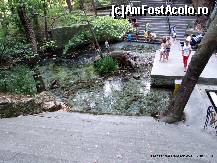 [P30] Cadrul natural de care va vorbeam » foto by iulibv
 - 
<span class="allrVoted glyphicon glyphicon-heart hidden" id="av113639"></span>
<a class="m-l-10 hidden" id="sv113639" onclick="voting_Foto_DelVot(,113639,17499)" role="button">șterge vot <span class="glyphicon glyphicon-remove"></span></a>
<a id="v9113639" class=" c-red"  onclick="voting_Foto_SetVot(113639)" role="button"><span class="glyphicon glyphicon-heart-empty"></span> <b>LIKE</b> = Votează poza</a> <img class="hidden"  id="f113639W9" src="/imagini/loader.gif" border="0" /><span class="AjErrMes hidden" id="e113639ErM"></span>