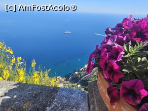 [P16] imagini coasta Amalfi » foto by Opelantara
 - 
<span class="allrVoted glyphicon glyphicon-heart hidden" id="av1527172"></span>
<a class="m-l-10 hidden" id="sv1527172" onclick="voting_Foto_DelVot(,1527172,17505)" role="button">șterge vot <span class="glyphicon glyphicon-remove"></span></a>
<a id="v91527172" class=" c-red"  onclick="voting_Foto_SetVot(1527172)" role="button"><span class="glyphicon glyphicon-heart-empty"></span> <b>LIKE</b> = Votează poza</a> <img class="hidden"  id="f1527172W9" src="/imagini/loader.gif" border="0" /><span class="AjErrMes hidden" id="e1527172ErM"></span>