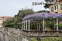 [P35] Sorrento » foto by grigo*
 - 
<span class="allrVoted glyphicon glyphicon-heart hidden" id="av418830"></span>
<a class="m-l-10 hidden" id="sv418830" onclick="voting_Foto_DelVot(,418830,17505)" role="button">șterge vot <span class="glyphicon glyphicon-remove"></span></a>
<a id="v9418830" class=" c-red"  onclick="voting_Foto_SetVot(418830)" role="button"><span class="glyphicon glyphicon-heart-empty"></span> <b>LIKE</b> = Votează poza</a> <img class="hidden"  id="f418830W9" src="/imagini/loader.gif" border="0" /><span class="AjErrMes hidden" id="e418830ErM"></span>