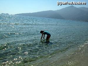 [P06] Apa limpede si lina de la Golden Beach.  » foto by calatorul
 - 
<span class="allrVoted glyphicon glyphicon-heart hidden" id="av563539"></span>
<a class="m-l-10 hidden" id="sv563539" onclick="voting_Foto_DelVot(,563539,17592)" role="button">șterge vot <span class="glyphicon glyphicon-remove"></span></a>
<a id="v9563539" class=" c-red"  onclick="voting_Foto_SetVot(563539)" role="button"><span class="glyphicon glyphicon-heart-empty"></span> <b>LIKE</b> = Votează poza</a> <img class="hidden"  id="f563539W9" src="/imagini/loader.gif" border="0" /><span class="AjErrMes hidden" id="e563539ErM"></span>