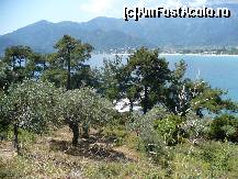 [P12] Maslini si pini deasupra portului.  » foto by macius
 - 
<span class="allrVoted glyphicon glyphicon-heart hidden" id="av428882"></span>
<a class="m-l-10 hidden" id="sv428882" onclick="voting_Foto_DelVot(,428882,17592)" role="button">șterge vot <span class="glyphicon glyphicon-remove"></span></a>
<a id="v9428882" class=" c-red"  onclick="voting_Foto_SetVot(428882)" role="button"><span class="glyphicon glyphicon-heart-empty"></span> <b>LIKE</b> = Votează poza</a> <img class="hidden"  id="f428882W9" src="/imagini/loader.gif" border="0" /><span class="AjErrMes hidden" id="e428882ErM"></span>