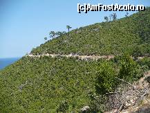 [P33] Drumul de coasta.  » foto by macius
 - 
<span class="allrVoted glyphicon glyphicon-heart hidden" id="av428912"></span>
<a class="m-l-10 hidden" id="sv428912" onclick="voting_Foto_DelVot(,428912,17592)" role="button">șterge vot <span class="glyphicon glyphicon-remove"></span></a>
<a id="v9428912" class=" c-red"  onclick="voting_Foto_SetVot(428912)" role="button"><span class="glyphicon glyphicon-heart-empty"></span> <b>LIKE</b> = Votează poza</a> <img class="hidden"  id="f428912W9" src="/imagini/loader.gif" border="0" /><span class="AjErrMes hidden" id="e428912ErM"></span>