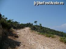 [P34] Drumul e destul de larg.  » foto by macius
 - 
<span class="allrVoted glyphicon glyphicon-heart hidden" id="av428913"></span>
<a class="m-l-10 hidden" id="sv428913" onclick="voting_Foto_DelVot(,428913,17592)" role="button">șterge vot <span class="glyphicon glyphicon-remove"></span></a>
<a id="v9428913" class=" c-red"  onclick="voting_Foto_SetVot(428913)" role="button"><span class="glyphicon glyphicon-heart-empty"></span> <b>LIKE</b> = Votează poza</a> <img class="hidden"  id="f428913W9" src="/imagini/loader.gif" border="0" /><span class="AjErrMes hidden" id="e428913ErM"></span>