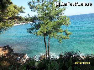 [P30]  -- <small>// FĂRĂ DESCRIERE</small> » foto by flori_floricika
 - 
<span class="allrVoted glyphicon glyphicon-heart hidden" id="av377356"></span>
<a class="m-l-10 hidden" id="sv377356" onclick="voting_Foto_DelVot(,377356,17592)" role="button">șterge vot <span class="glyphicon glyphicon-remove"></span></a>
<a id="v9377356" class=" c-red"  onclick="voting_Foto_SetVot(377356)" role="button"><span class="glyphicon glyphicon-heart-empty"></span> <b>LIKE</b> = Votează poza</a> <img class="hidden"  id="f377356W9" src="/imagini/loader.gif" border="0" /><span class="AjErrMes hidden" id="e377356ErM"></span>