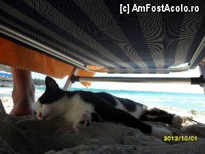 [P35]  -- <small>// FĂRĂ DESCRIERE</small> » foto by flori_floricika
 - 
<span class="allrVoted glyphicon glyphicon-heart hidden" id="av377361"></span>
<a class="m-l-10 hidden" id="sv377361" onclick="voting_Foto_DelVot(,377361,17592)" role="button">șterge vot <span class="glyphicon glyphicon-remove"></span></a>
<a id="v9377361" class=" c-red"  onclick="voting_Foto_SetVot(377361)" role="button"><span class="glyphicon glyphicon-heart-empty"></span> <b>LIKE</b> = Votează poza</a> <img class="hidden"  id="f377361W9" src="/imagini/loader.gif" border="0" /><span class="AjErrMes hidden" id="e377361ErM"></span>