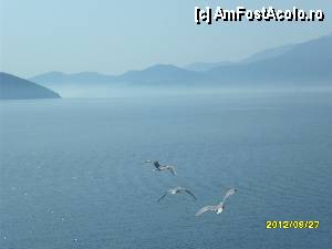 [P05]  -- <small>// FĂRĂ DESCRIERE</small> » foto by flori_floricika
 - 
<span class="allrVoted glyphicon glyphicon-heart hidden" id="av377331"></span>
<a class="m-l-10 hidden" id="sv377331" onclick="voting_Foto_DelVot(,377331,17592)" role="button">șterge vot <span class="glyphicon glyphicon-remove"></span></a>
<a id="v9377331" class=" c-red"  onclick="voting_Foto_SetVot(377331)" role="button"><span class="glyphicon glyphicon-heart-empty"></span> <b>LIKE</b> = Votează poza</a> <img class="hidden"  id="f377331W9" src="/imagini/loader.gif" border="0" /><span class="AjErrMes hidden" id="e377331ErM"></span>