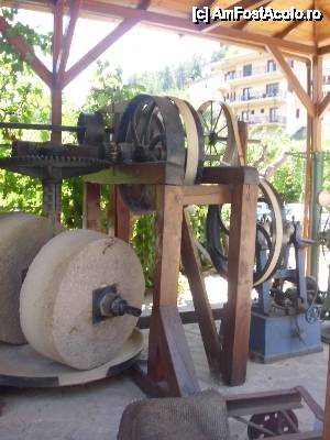 [P12]  -- <small>// FĂRĂ DESCRIERE</small> » foto by diana-camelia*
 - 
<span class="allrVoted glyphicon glyphicon-heart hidden" id="av453127"></span>
<a class="m-l-10 hidden" id="sv453127" onclick="voting_Foto_DelVot(,453127,17592)" role="button">șterge vot <span class="glyphicon glyphicon-remove"></span></a>
<a id="v9453127" class=" c-red"  onclick="voting_Foto_SetVot(453127)" role="button"><span class="glyphicon glyphicon-heart-empty"></span> <b>LIKE</b> = Votează poza</a> <img class="hidden"  id="f453127W9" src="/imagini/loader.gif" border="0" /><span class="AjErrMes hidden" id="e453127ErM"></span>