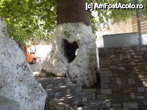 [P17] renumitele scorburi in forma de inima » foto by diana-camelia*
 - 
<span class="allrVoted glyphicon glyphicon-heart hidden" id="av453132"></span>
<a class="m-l-10 hidden" id="sv453132" onclick="voting_Foto_DelVot(,453132,17592)" role="button">șterge vot <span class="glyphicon glyphicon-remove"></span></a>
<a id="v9453132" class=" c-red"  onclick="voting_Foto_SetVot(453132)" role="button"><span class="glyphicon glyphicon-heart-empty"></span> <b>LIKE</b> = Votează poza</a> <img class="hidden"  id="f453132W9" src="/imagini/loader.gif" border="0" /><span class="AjErrMes hidden" id="e453132ErM"></span>