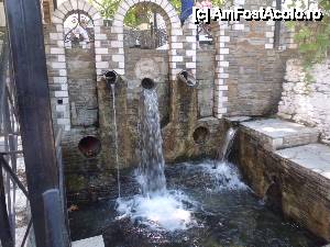 [P20]  -- <small>// FĂRĂ DESCRIERE</small> » foto by diana-camelia*
 - 
<span class="allrVoted glyphicon glyphicon-heart hidden" id="av453135"></span>
<a class="m-l-10 hidden" id="sv453135" onclick="voting_Foto_DelVot(,453135,17592)" role="button">șterge vot <span class="glyphicon glyphicon-remove"></span></a>
<a id="v9453135" class=" c-red"  onclick="voting_Foto_SetVot(453135)" role="button"><span class="glyphicon glyphicon-heart-empty"></span> <b>LIKE</b> = Votează poza</a> <img class="hidden"  id="f453135W9" src="/imagini/loader.gif" border="0" /><span class="AjErrMes hidden" id="e453135ErM"></span>