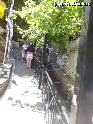 [P21]  -- <small>// FĂRĂ DESCRIERE</small> » foto by diana-camelia*
 - 
<span class="allrVoted glyphicon glyphicon-heart hidden" id="av453136"></span>
<a class="m-l-10 hidden" id="sv453136" onclick="voting_Foto_DelVot(,453136,17592)" role="button">șterge vot <span class="glyphicon glyphicon-remove"></span></a>
<a id="v9453136" class=" c-red"  onclick="voting_Foto_SetVot(453136)" role="button"><span class="glyphicon glyphicon-heart-empty"></span> <b>LIKE</b> = Votează poza</a> <img class="hidden"  id="f453136W9" src="/imagini/loader.gif" border="0" /><span class="AjErrMes hidden" id="e453136ErM"></span>