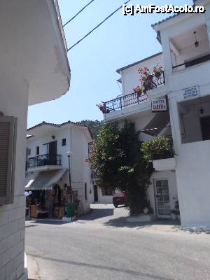 [P03] stradutele din centru » foto by diana-camelia*
 - 
<span class="allrVoted glyphicon glyphicon-heart hidden" id="av453118"></span>
<a class="m-l-10 hidden" id="sv453118" onclick="voting_Foto_DelVot(,453118,17592)" role="button">șterge vot <span class="glyphicon glyphicon-remove"></span></a>
<a id="v9453118" class=" c-red"  onclick="voting_Foto_SetVot(453118)" role="button"><span class="glyphicon glyphicon-heart-empty"></span> <b>LIKE</b> = Votează poza</a> <img class="hidden"  id="f453118W9" src="/imagini/loader.gif" border="0" /><span class="AjErrMes hidden" id="e453118ErM"></span>