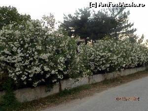 [P10]  -- <small>// FĂRĂ DESCRIERE</small> » foto by cristisch2003
 - 
<span class="allrVoted glyphicon glyphicon-heart hidden" id="av533786"></span>
<a class="m-l-10 hidden" id="sv533786" onclick="voting_Foto_DelVot(,533786,17592)" role="button">șterge vot <span class="glyphicon glyphicon-remove"></span></a>
<a id="v9533786" class=" c-red"  onclick="voting_Foto_SetVot(533786)" role="button"><span class="glyphicon glyphicon-heart-empty"></span> <b>LIKE</b> = Votează poza</a> <img class="hidden"  id="f533786W9" src="/imagini/loader.gif" border="0" /><span class="AjErrMes hidden" id="e533786ErM"></span>