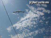 [P03] un pescarus in zbor... » foto by sandu.53
 - 
<span class="allrVoted glyphicon glyphicon-heart hidden" id="av209528"></span>
<a class="m-l-10 hidden" id="sv209528" onclick="voting_Foto_DelVot(,209528,17592)" role="button">șterge vot <span class="glyphicon glyphicon-remove"></span></a>
<a id="v9209528" class=" c-red"  onclick="voting_Foto_SetVot(209528)" role="button"><span class="glyphicon glyphicon-heart-empty"></span> <b>LIKE</b> = Votează poza</a> <img class="hidden"  id="f209528W9" src="/imagini/loader.gif" border="0" /><span class="AjErrMes hidden" id="e209528ErM"></span>