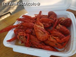 [P24] Baietii au inceput sa aduca de-ale gurii. Am fost 4 persoane la masa...  » foto by DOINITA
 - 
<span class="allrVoted glyphicon glyphicon-heart hidden" id="av1007766"></span>
<a class="m-l-10 hidden" id="sv1007766" onclick="voting_Foto_DelVot(,1007766,17598)" role="button">șterge vot <span class="glyphicon glyphicon-remove"></span></a>
<a id="v91007766" class=" c-red"  onclick="voting_Foto_SetVot(1007766)" role="button"><span class="glyphicon glyphicon-heart-empty"></span> <b>LIKE</b> = Votează poza</a> <img class="hidden"  id="f1007766W9" src="/imagini/loader.gif" border="0" /><span class="AjErrMes hidden" id="e1007766ErM"></span>