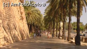 [P18] Passeig de Sagrera, un fragment de bulevard puternic impregnat de istorie » foto by diacrys*
 - 
<span class="allrVoted glyphicon glyphicon-heart hidden" id="av899864"></span>
<a class="m-l-10 hidden" id="sv899864" onclick="voting_Foto_DelVot(,899864,17664)" role="button">șterge vot <span class="glyphicon glyphicon-remove"></span></a>
<a id="v9899864" class=" c-red"  onclick="voting_Foto_SetVot(899864)" role="button"><span class="glyphicon glyphicon-heart-empty"></span> <b>LIKE</b> = Votează poza</a> <img class="hidden"  id="f899864W9" src="/imagini/loader.gif" border="0" /><span class="AjErrMes hidden" id="e899864ErM"></span>