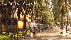 [P19] Expoziția în aer liber de pe bulevardul Passeig de Sagrera (2017)  » foto by diacrys*
 - 
<span class="allrVoted glyphicon glyphicon-heart hidden" id="av899865"></span>
<a class="m-l-10 hidden" id="sv899865" onclick="voting_Foto_DelVot(,899865,17664)" role="button">șterge vot <span class="glyphicon glyphicon-remove"></span></a>
<a id="v9899865" class=" c-red"  onclick="voting_Foto_SetVot(899865)" role="button"><span class="glyphicon glyphicon-heart-empty"></span> <b>LIKE</b> = Votează poza</a> <img class="hidden"  id="f899865W9" src="/imagini/loader.gif" border="0" /><span class="AjErrMes hidden" id="e899865ErM"></span>