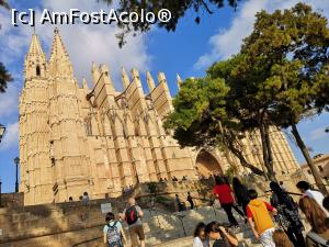 [P21] Catedrala La Seu » foto by crismis
 - 
<span class="allrVoted glyphicon glyphicon-heart hidden" id="av1132411"></span>
<a class="m-l-10 hidden" id="sv1132411" onclick="voting_Foto_DelVot(,1132411,17664)" role="button">șterge vot <span class="glyphicon glyphicon-remove"></span></a>
<a id="v91132411" class=" c-red"  onclick="voting_Foto_SetVot(1132411)" role="button"><span class="glyphicon glyphicon-heart-empty"></span> <b>LIKE</b> = Votează poza</a> <img class="hidden"  id="f1132411W9" src="/imagini/loader.gif" border="0" /><span class="AjErrMes hidden" id="e1132411ErM"></span>