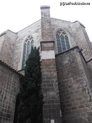 [P17]  -- <small>// FĂRĂ DESCRIERE</small> » foto by balasa violeta
 - 
<span class="allrVoted glyphicon glyphicon-heart hidden" id="av569543"></span>
<a class="m-l-10 hidden" id="sv569543" onclick="voting_Foto_DelVot(,569543,17664)" role="button">șterge vot <span class="glyphicon glyphicon-remove"></span></a>
<a id="v9569543" class=" c-red"  onclick="voting_Foto_SetVot(569543)" role="button"><span class="glyphicon glyphicon-heart-empty"></span> <b>LIKE</b> = Votează poza</a> <img class="hidden"  id="f569543W9" src="/imagini/loader.gif" border="0" /><span class="AjErrMes hidden" id="e569543ErM"></span>