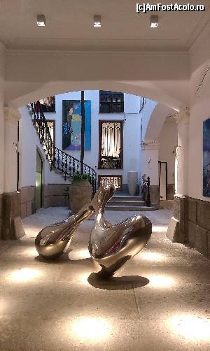 [P37] Prin galeriile muzeului de arta contemporana!  » foto by balasa violeta
 - 
<span class="allrVoted glyphicon glyphicon-heart hidden" id="av569571"></span>
<a class="m-l-10 hidden" id="sv569571" onclick="voting_Foto_DelVot(,569571,17664)" role="button">șterge vot <span class="glyphicon glyphicon-remove"></span></a>
<a id="v9569571" class=" c-red"  onclick="voting_Foto_SetVot(569571)" role="button"><span class="glyphicon glyphicon-heart-empty"></span> <b>LIKE</b> = Votează poza</a> <img class="hidden"  id="f569571W9" src="/imagini/loader.gif" border="0" /><span class="AjErrMes hidden" id="e569571ErM"></span>