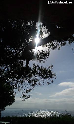 [P13] Miraj!  » foto by balasa violeta
 - 
<span class="allrVoted glyphicon glyphicon-heart hidden" id="av584379"></span>
<a class="m-l-10 hidden" id="sv584379" onclick="voting_Foto_DelVot(,584379,17664)" role="button">șterge vot <span class="glyphicon glyphicon-remove"></span></a>
<a id="v9584379" class=" c-red"  onclick="voting_Foto_SetVot(584379)" role="button"><span class="glyphicon glyphicon-heart-empty"></span> <b>LIKE</b> = Votează poza</a> <img class="hidden"  id="f584379W9" src="/imagini/loader.gif" border="0" /><span class="AjErrMes hidden" id="e584379ErM"></span>