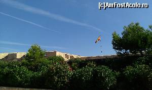 [P07] Steagul!  » foto by balasa violeta
 - 
<span class="allrVoted glyphicon glyphicon-heart hidden" id="av584373"></span>
<a class="m-l-10 hidden" id="sv584373" onclick="voting_Foto_DelVot(,584373,17664)" role="button">șterge vot <span class="glyphicon glyphicon-remove"></span></a>
<a id="v9584373" class=" c-red"  onclick="voting_Foto_SetVot(584373)" role="button"><span class="glyphicon glyphicon-heart-empty"></span> <b>LIKE</b> = Votează poza</a> <img class="hidden"  id="f584373W9" src="/imagini/loader.gif" border="0" /><span class="AjErrMes hidden" id="e584373ErM"></span>