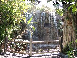 [P15] Gradina Amazonului » foto by claudiu 71
 - 
<span class="allrVoted glyphicon glyphicon-heart hidden" id="av568187"></span>
<a class="m-l-10 hidden" id="sv568187" onclick="voting_Foto_DelVot(,568187,17664)" role="button">șterge vot <span class="glyphicon glyphicon-remove"></span></a>
<a id="v9568187" class=" c-red"  onclick="voting_Foto_SetVot(568187)" role="button"><span class="glyphicon glyphicon-heart-empty"></span> <b>LIKE</b> = Votează poza</a> <img class="hidden"  id="f568187W9" src="/imagini/loader.gif" border="0" /><span class="AjErrMes hidden" id="e568187ErM"></span>