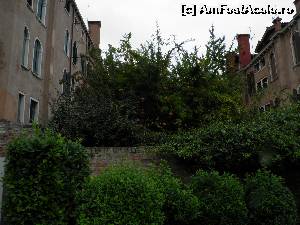 [P05]  -- <small>// FĂRĂ DESCRIERE</small> » foto by barbu minel
 - 
<span class="allrVoted glyphicon glyphicon-heart hidden" id="av569251"></span>
<a class="m-l-10 hidden" id="sv569251" onclick="voting_Foto_DelVot(,569251,17672)" role="button">șterge vot <span class="glyphicon glyphicon-remove"></span></a>
<a id="v9569251" class=" c-red"  onclick="voting_Foto_SetVot(569251)" role="button"><span class="glyphicon glyphicon-heart-empty"></span> <b>LIKE</b> = Votează poza</a> <img class="hidden"  id="f569251W9" src="/imagini/loader.gif" border="0" /><span class="AjErrMes hidden" id="e569251ErM"></span>