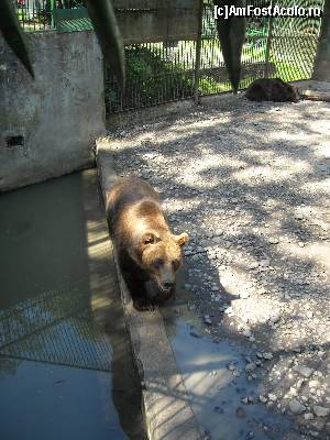 [P06]  -- <small>// FĂRĂ DESCRIERE</small> » foto by bursucicu
 - 
<span class="allrVoted glyphicon glyphicon-heart hidden" id="av684514"></span>
<a class="m-l-10 hidden" id="sv684514" onclick="voting_Foto_DelVot(,684514,17687)" role="button">șterge vot <span class="glyphicon glyphicon-remove"></span></a>
<a id="v9684514" class=" c-red"  onclick="voting_Foto_SetVot(684514)" role="button"><span class="glyphicon glyphicon-heart-empty"></span> <b>LIKE</b> = Votează poza</a> <img class="hidden"  id="f684514W9" src="/imagini/loader.gif" border="0" /><span class="AjErrMes hidden" id="e684514ErM"></span>