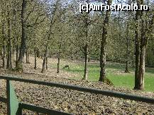 [P09] Gradina Zoologica Tg. Mures - un cerb tanar, zarit cu greu de departe » foto by biancuta
 - 
<span class="allrVoted glyphicon glyphicon-heart hidden" id="av67442"></span>
<a class="m-l-10 hidden" id="sv67442" onclick="voting_Foto_DelVot(,67442,17687)" role="button">șterge vot <span class="glyphicon glyphicon-remove"></span></a>
<a id="v967442" class=" c-red"  onclick="voting_Foto_SetVot(67442)" role="button"><span class="glyphicon glyphicon-heart-empty"></span> <b>LIKE</b> = Votează poza</a> <img class="hidden"  id="f67442W9" src="/imagini/loader.gif" border="0" /><span class="AjErrMes hidden" id="e67442ErM"></span>