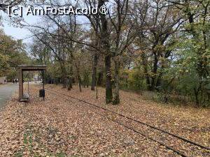 [P72] Platoul Cornești,linie tren de agrement » foto by AZE
 - 
<span class="allrVoted glyphicon glyphicon-heart hidden" id="av1397554"></span>
<a class="m-l-10 hidden" id="sv1397554" onclick="voting_Foto_DelVot(,1397554,17687)" role="button">șterge vot <span class="glyphicon glyphicon-remove"></span></a>
<a id="v91397554" class=" c-red"  onclick="voting_Foto_SetVot(1397554)" role="button"><span class="glyphicon glyphicon-heart-empty"></span> <b>LIKE</b> = Votează poza</a> <img class="hidden"  id="f1397554W9" src="/imagini/loader.gif" border="0" /><span class="AjErrMes hidden" id="e1397554ErM"></span>