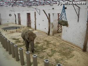 [P16] gradina Zoo Tg-Mures » foto by andr2eea
 - 
<span class="allrVoted glyphicon glyphicon-heart hidden" id="av657835"></span>
<a class="m-l-10 hidden" id="sv657835" onclick="voting_Foto_DelVot(,657835,17687)" role="button">șterge vot <span class="glyphicon glyphicon-remove"></span></a>
<a id="v9657835" class=" c-red"  onclick="voting_Foto_SetVot(657835)" role="button"><span class="glyphicon glyphicon-heart-empty"></span> <b>LIKE</b> = Votează poza</a> <img class="hidden"  id="f657835W9" src="/imagini/loader.gif" border="0" /><span class="AjErrMes hidden" id="e657835ErM"></span>