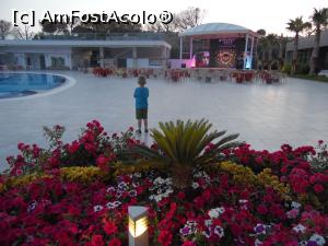 [P09]  -- <small>// FĂRĂ DESCRIERE</small> » foto by dianabzs
 - 
<span class="allrVoted glyphicon glyphicon-heart hidden" id="av964925"></span>
<a class="m-l-10 hidden" id="sv964925" onclick="voting_Foto_DelVot(,964925,17697)" role="button">șterge vot <span class="glyphicon glyphicon-remove"></span></a>
<a id="v9964925" class=" c-red"  onclick="voting_Foto_SetVot(964925)" role="button"><span class="glyphicon glyphicon-heart-empty"></span> <b>LIKE</b> = Votează poza</a> <img class="hidden"  id="f964925W9" src="/imagini/loader.gif" border="0" /><span class="AjErrMes hidden" id="e964925ErM"></span>