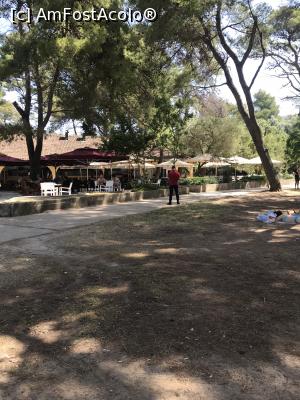 [P11] Horizont, Lustica » foto by krisstinna
 - 
<span class="allrVoted glyphicon glyphicon-heart hidden" id="av1096765"></span>
<a class="m-l-10 hidden" id="sv1096765" onclick="voting_Foto_DelVot(,1096765,17701)" role="button">șterge vot <span class="glyphicon glyphicon-remove"></span></a>
<a id="v91096765" class=" c-red"  onclick="voting_Foto_SetVot(1096765)" role="button"><span class="glyphicon glyphicon-heart-empty"></span> <b>LIKE</b> = Votează poza</a> <img class="hidden"  id="f1096765W9" src="/imagini/loader.gif" border="0" /><span class="AjErrMes hidden" id="e1096765ErM"></span>