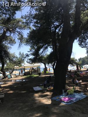 [P17] Horizont, Lustica » foto by krisstinna
 - 
<span class="allrVoted glyphicon glyphicon-heart hidden" id="av1096771"></span>
<a class="m-l-10 hidden" id="sv1096771" onclick="voting_Foto_DelVot(,1096771,17701)" role="button">șterge vot <span class="glyphicon glyphicon-remove"></span></a>
<a id="v91096771" class=" c-red"  onclick="voting_Foto_SetVot(1096771)" role="button"><span class="glyphicon glyphicon-heart-empty"></span> <b>LIKE</b> = Votează poza</a> <img class="hidden"  id="f1096771W9" src="/imagini/loader.gif" border="0" /><span class="AjErrMes hidden" id="e1096771ErM"></span>