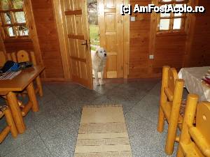 [P15] Pensiunea Vraja Munților - primiți colindu'?  » foto by Dragoș_MD
 - 
<span class="allrVoted glyphicon glyphicon-heart hidden" id="av575644"></span>
<a class="m-l-10 hidden" id="sv575644" onclick="voting_Foto_DelVot(,575644,17743)" role="button">șterge vot <span class="glyphicon glyphicon-remove"></span></a>
<a id="v9575644" class=" c-red"  onclick="voting_Foto_SetVot(575644)" role="button"><span class="glyphicon glyphicon-heart-empty"></span> <b>LIKE</b> = Votează poza</a> <img class="hidden"  id="f575644W9" src="/imagini/loader.gif" border="0" /><span class="AjErrMes hidden" id="e575644ErM"></span>