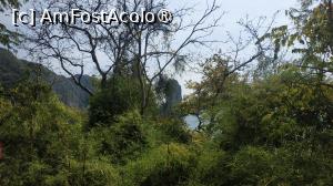 [P38]  -- <small>// FĂRĂ DESCRIERE</small> » foto by elenaadina
 - 
<span class="allrVoted glyphicon glyphicon-heart hidden" id="av1524870"></span>
<a class="m-l-10 hidden" id="sv1524870" onclick="voting_Foto_DelVot(,1524870,17822)" role="button">șterge vot <span class="glyphicon glyphicon-remove"></span></a>
<a id="v91524870" class=" c-red"  onclick="voting_Foto_SetVot(1524870)" role="button"><span class="glyphicon glyphicon-heart-empty"></span> <b>LIKE</b> = Votează poza</a> <img class="hidden"  id="f1524870W9" src="/imagini/loader.gif" border="0" /><span class="AjErrMes hidden" id="e1524870ErM"></span>