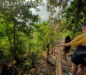 [P46]  -- <small>// FĂRĂ DESCRIERE</small> » foto by elenaadina
 - 
<span class="allrVoted glyphicon glyphicon-heart hidden" id="av1524878"></span>
<a class="m-l-10 hidden" id="sv1524878" onclick="voting_Foto_DelVot(,1524878,17822)" role="button">șterge vot <span class="glyphicon glyphicon-remove"></span></a>
<a id="v91524878" class=" c-red"  onclick="voting_Foto_SetVot(1524878)" role="button"><span class="glyphicon glyphicon-heart-empty"></span> <b>LIKE</b> = Votează poza</a> <img class="hidden"  id="f1524878W9" src="/imagini/loader.gif" border="0" /><span class="AjErrMes hidden" id="e1524878ErM"></span>