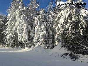 [P02] SFARSIT DE AN LA BANSKO, MINUNAT » foto by FLORIN R
 - 
<span class="allrVoted glyphicon glyphicon-heart hidden" id="av584132"></span>
<a class="m-l-10 hidden" id="sv584132" onclick="voting_Foto_DelVot(,584132,17866)" role="button">șterge vot <span class="glyphicon glyphicon-remove"></span></a>
<a id="v9584132" class=" c-red"  onclick="voting_Foto_SetVot(584132)" role="button"><span class="glyphicon glyphicon-heart-empty"></span> <b>LIKE</b> = Votează poza</a> <img class="hidden"  id="f584132W9" src="/imagini/loader.gif" border="0" /><span class="AjErrMes hidden" id="e584132ErM"></span>