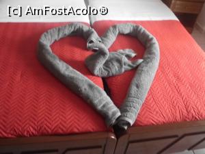 [P06] Aranjament zilnic schimbat » foto by mircea rpd
 - 
<span class="allrVoted glyphicon glyphicon-heart hidden" id="av888806"></span>
<a class="m-l-10 hidden" id="sv888806" onclick="voting_Foto_DelVot(,888806,17871)" role="button">șterge vot <span class="glyphicon glyphicon-remove"></span></a>
<a id="v9888806" class=" c-red"  onclick="voting_Foto_SetVot(888806)" role="button"><span class="glyphicon glyphicon-heart-empty"></span> <b>LIKE</b> = Votează poza</a> <img class="hidden"  id="f888806W9" src="/imagini/loader.gif" border="0" /><span class="AjErrMes hidden" id="e888806ErM"></span>