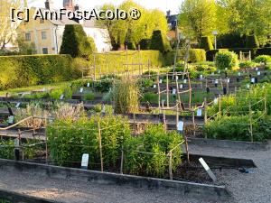 [P80] Uppsala, Grădina și Muzeul Linnaeus, Plante bine clasificate » foto by mprofeanu
 - 
<span class="allrVoted glyphicon glyphicon-heart hidden" id="av1513456"></span>
<a class="m-l-10 hidden" id="sv1513456" onclick="voting_Foto_DelVot(,1513456,17905)" role="button">șterge vot <span class="glyphicon glyphicon-remove"></span></a>
<a id="v91513456" class=" c-red"  onclick="voting_Foto_SetVot(1513456)" role="button"><span class="glyphicon glyphicon-heart-empty"></span> <b>LIKE</b> = Votează poza</a> <img class="hidden"  id="f1513456W9" src="/imagini/loader.gif" border="0" /><span class="AjErrMes hidden" id="e1513456ErM"></span>