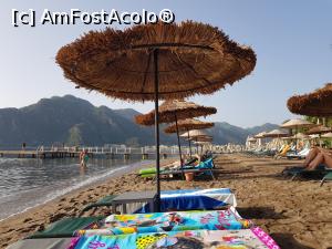 [P12] ORKA din pădurea de pini - pe plajă » foto by nicole33
 - 
<span class="allrVoted glyphicon glyphicon-heart hidden" id="av1220461"></span>
<a class="m-l-10 hidden" id="sv1220461" onclick="voting_Foto_DelVot(,1220461,17920)" role="button">șterge vot <span class="glyphicon glyphicon-remove"></span></a>
<a id="v91220461" class=" c-red"  onclick="voting_Foto_SetVot(1220461)" role="button"><span class="glyphicon glyphicon-heart-empty"></span> <b>LIKE</b> = Votează poza</a> <img class="hidden"  id="f1220461W9" src="/imagini/loader.gif" border="0" /><span class="AjErrMes hidden" id="e1220461ErM"></span>