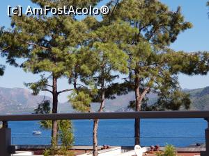 [P21] ORKA din pădurea de pini - vedere din balcon » foto by nicole33
 - 
<span class="allrVoted glyphicon glyphicon-heart hidden" id="av1220470"></span>
<a class="m-l-10 hidden" id="sv1220470" onclick="voting_Foto_DelVot(,1220470,17920)" role="button">șterge vot <span class="glyphicon glyphicon-remove"></span></a>
<a id="v91220470" class=" c-red"  onclick="voting_Foto_SetVot(1220470)" role="button"><span class="glyphicon glyphicon-heart-empty"></span> <b>LIKE</b> = Votează poza</a> <img class="hidden"  id="f1220470W9" src="/imagini/loader.gif" border="0" /><span class="AjErrMes hidden" id="e1220470ErM"></span>