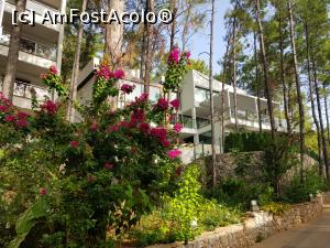 [P03] ORKA din pădurea de pini - alee prin resort » foto by nicole33
 - 
<span class="allrVoted glyphicon glyphicon-heart hidden" id="av1220452"></span>
<a class="m-l-10 hidden" id="sv1220452" onclick="voting_Foto_DelVot(,1220452,17920)" role="button">șterge vot <span class="glyphicon glyphicon-remove"></span></a>
<a id="v91220452" class=" c-red"  onclick="voting_Foto_SetVot(1220452)" role="button"><span class="glyphicon glyphicon-heart-empty"></span> <b>LIKE</b> = Votează poza</a> <img class="hidden"  id="f1220452W9" src="/imagini/loader.gif" border="0" /><span class="AjErrMes hidden" id="e1220452ErM"></span>