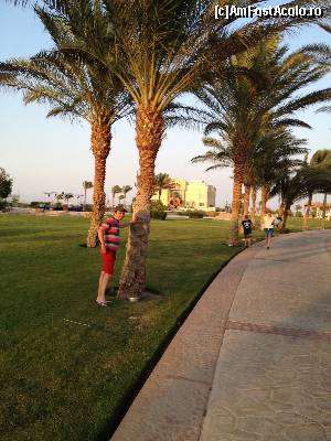 [P16] Promenada!  » foto by toni80
 - 
<span class="allrVoted glyphicon glyphicon-heart hidden" id="av590396"></span>
<a class="m-l-10 hidden" id="sv590396" onclick="voting_Foto_DelVot(,590396,17984)" role="button">șterge vot <span class="glyphicon glyphicon-remove"></span></a>
<a id="v9590396" class=" c-red"  onclick="voting_Foto_SetVot(590396)" role="button"><span class="glyphicon glyphicon-heart-empty"></span> <b>LIKE</b> = Votează poza</a> <img class="hidden"  id="f590396W9" src="/imagini/loader.gif" border="0" /><span class="AjErrMes hidden" id="e590396ErM"></span>