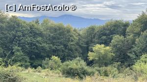 [P12] Pe Măgura Codlei » foto by Mika
 - 
<span class="allrVoted glyphicon glyphicon-heart hidden" id="av1509291"></span>
<a class="m-l-10 hidden" id="sv1509291" onclick="voting_Foto_DelVot(,1509291,17992)" role="button">șterge vot <span class="glyphicon glyphicon-remove"></span></a>
<a id="v91509291" class=" c-red"  onclick="voting_Foto_SetVot(1509291)" role="button"><span class="glyphicon glyphicon-heart-empty"></span> <b>LIKE</b> = Votează poza</a> <img class="hidden"  id="f1509291W9" src="/imagini/loader.gif" border="0" /><span class="AjErrMes hidden" id="e1509291ErM"></span>