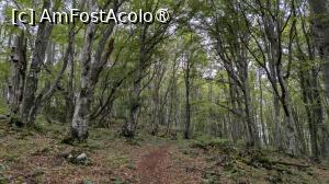 [P29] Pe Măgura Codlei » foto by Mika
 - 
<span class="allrVoted glyphicon glyphicon-heart hidden" id="av1509308"></span>
<a class="m-l-10 hidden" id="sv1509308" onclick="voting_Foto_DelVot(,1509308,17992)" role="button">șterge vot <span class="glyphicon glyphicon-remove"></span></a>
<a id="v91509308" class=" c-red"  onclick="voting_Foto_SetVot(1509308)" role="button"><span class="glyphicon glyphicon-heart-empty"></span> <b>LIKE</b> = Votează poza</a> <img class="hidden"  id="f1509308W9" src="/imagini/loader.gif" border="0" /><span class="AjErrMes hidden" id="e1509308ErM"></span>